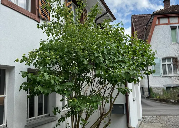 Garden House אינטרלאקן